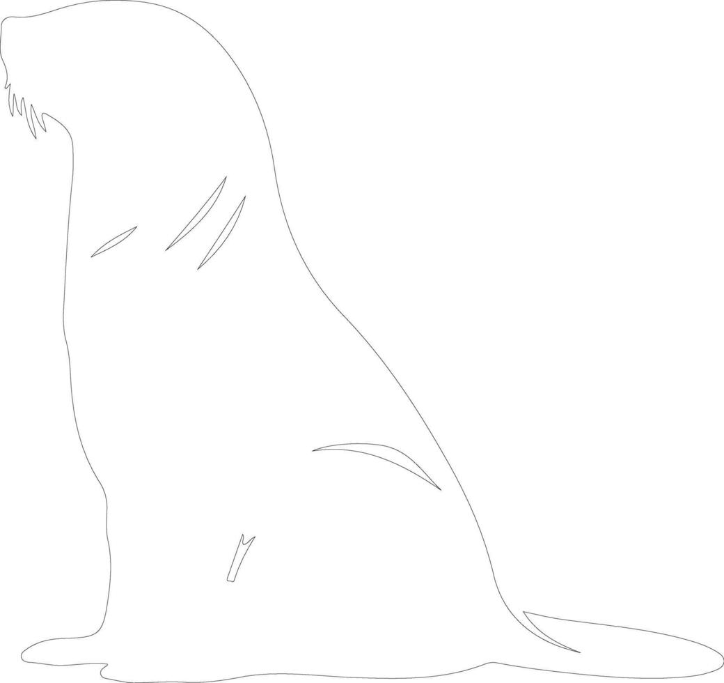 northern fur seal  outline silhouette vector