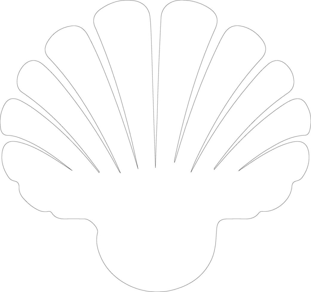scallop   outline silhouette vector