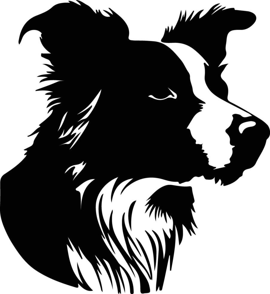 Border Collie black silhouette vector