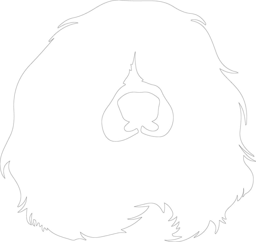 Cavalier King Charles Spaniel  outline silhouette vector