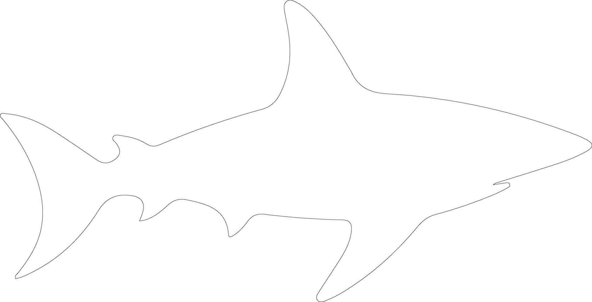 Galapagos shark    outline silhouette vector