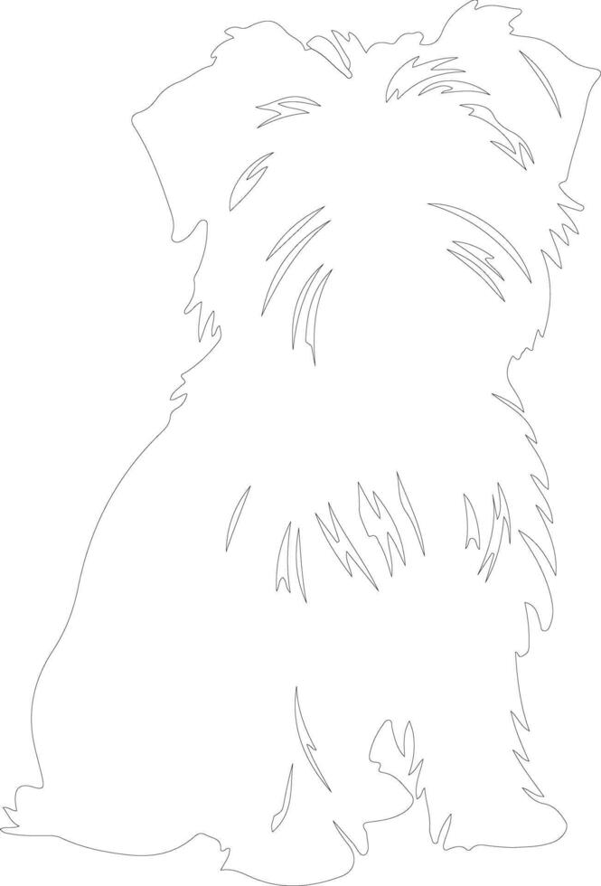 Affenpinscher outline silhouette vector