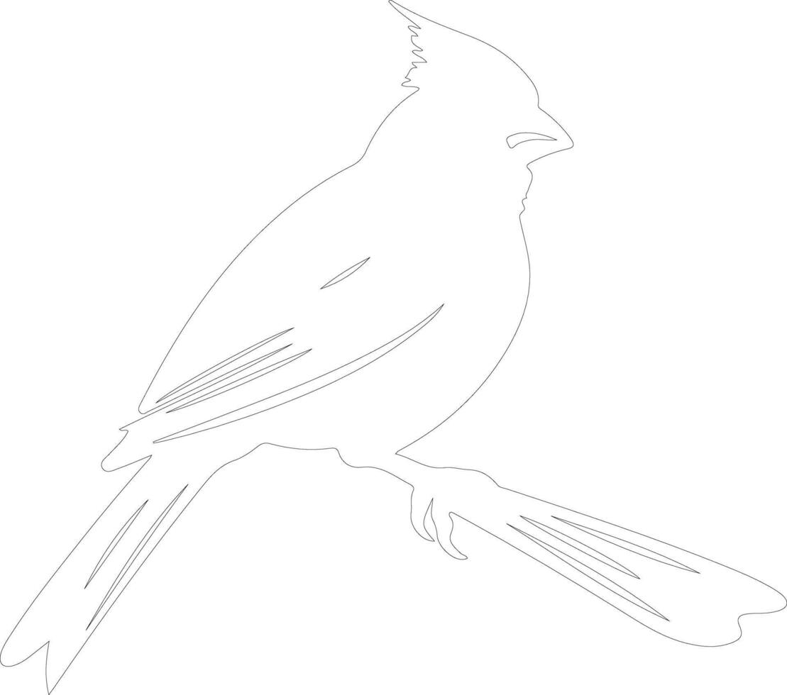 northern cardinal  outline silhouette vector