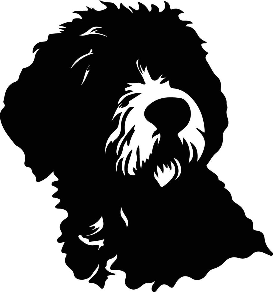 Spanish Water Dog  silhouette portrait vector