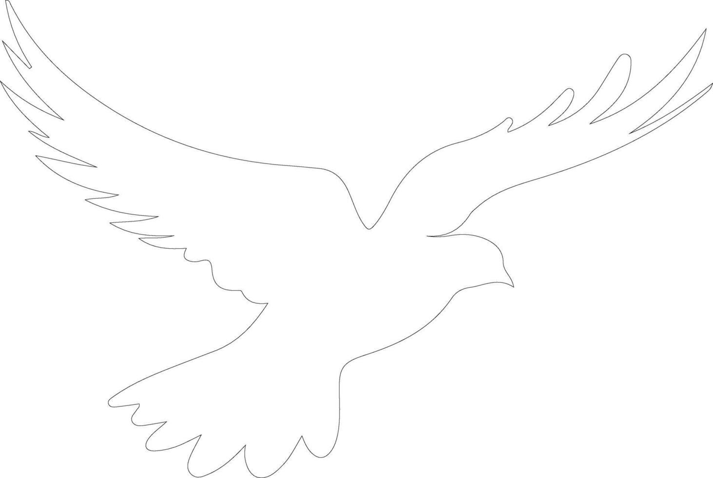 white dove  outline silhouette vector