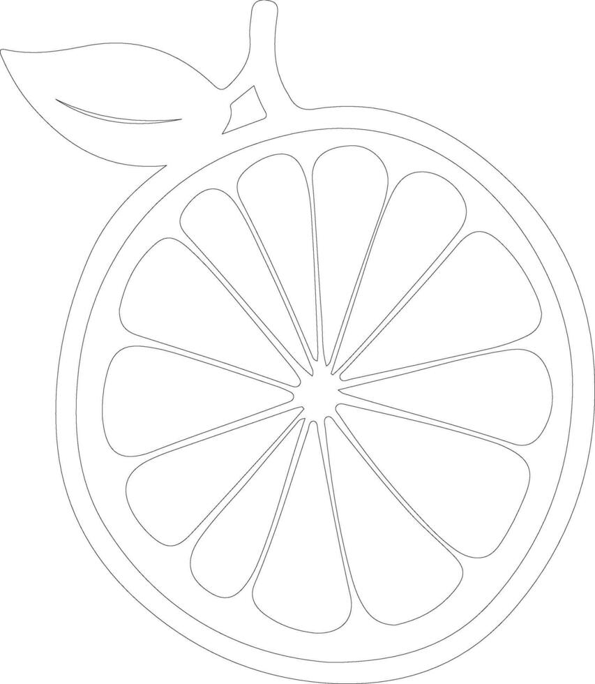 citron  outline silhouette vector