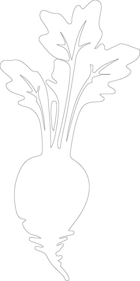 daikon contorno silueta vector