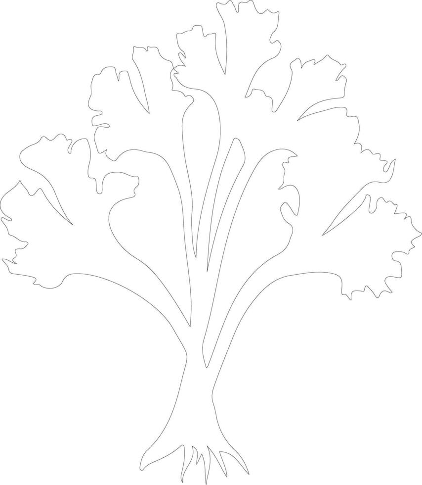 rhubarb  outline silhouette vector