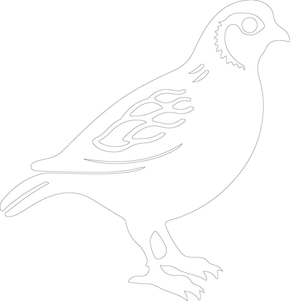 quail   outline silhouette vector