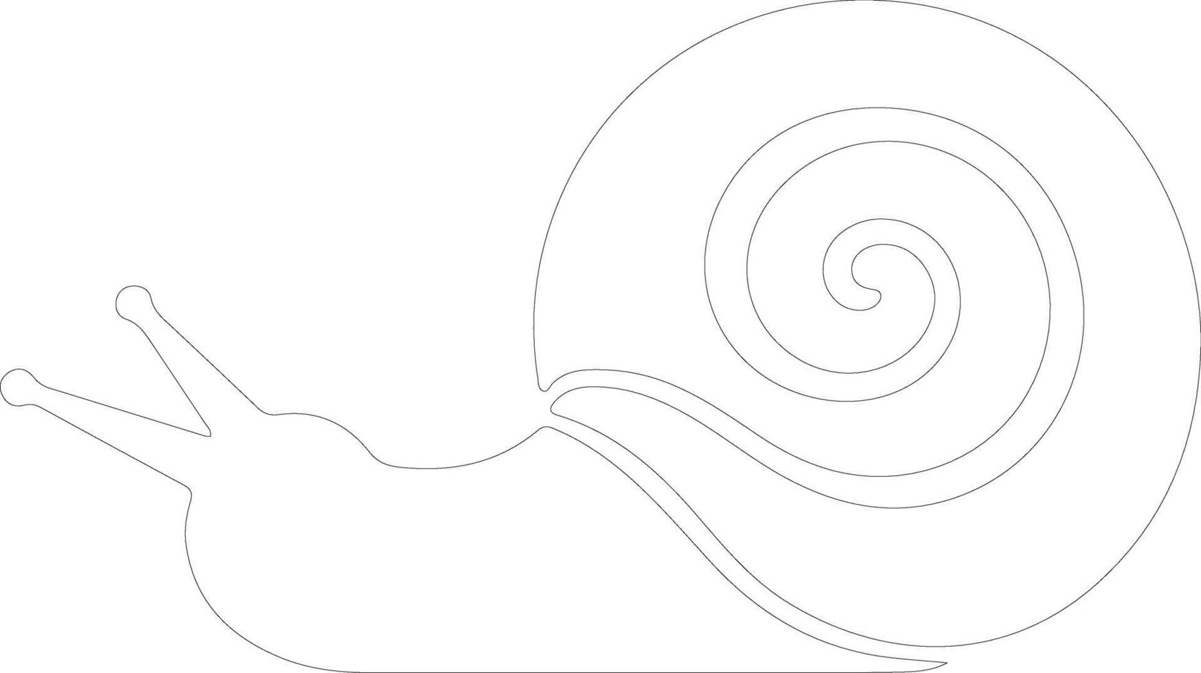 snail   outline silhouette vector