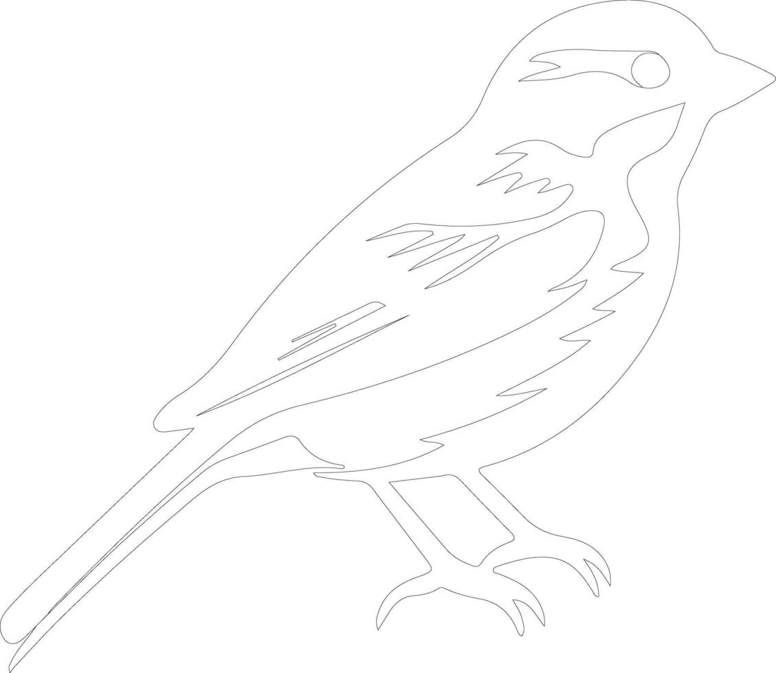 American tree sparrow  outline silhouette vector