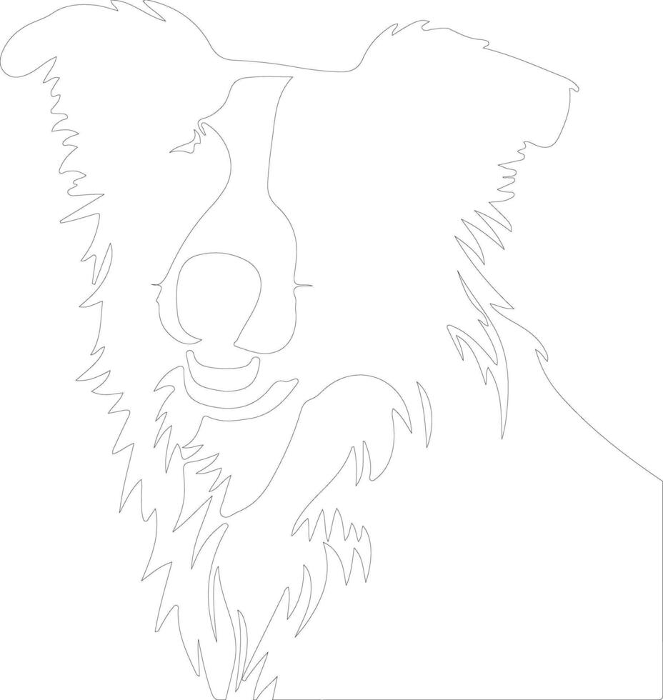 Border Collie  outline silhouette vector