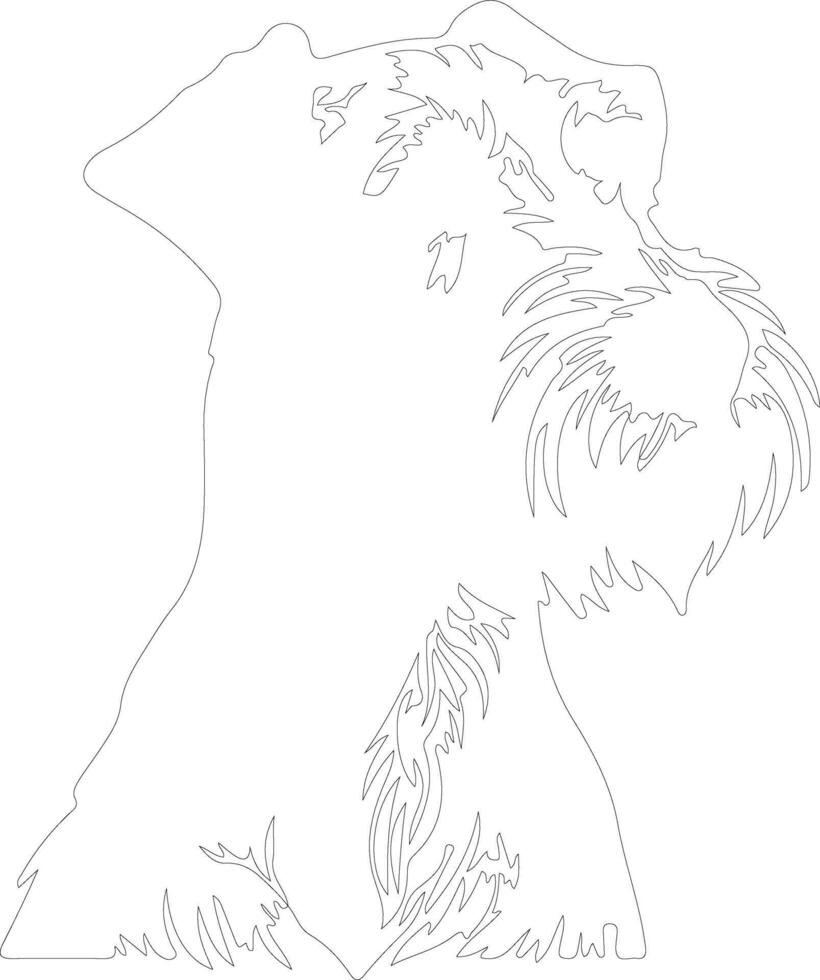 Irish Terrier  outline silhouette vector