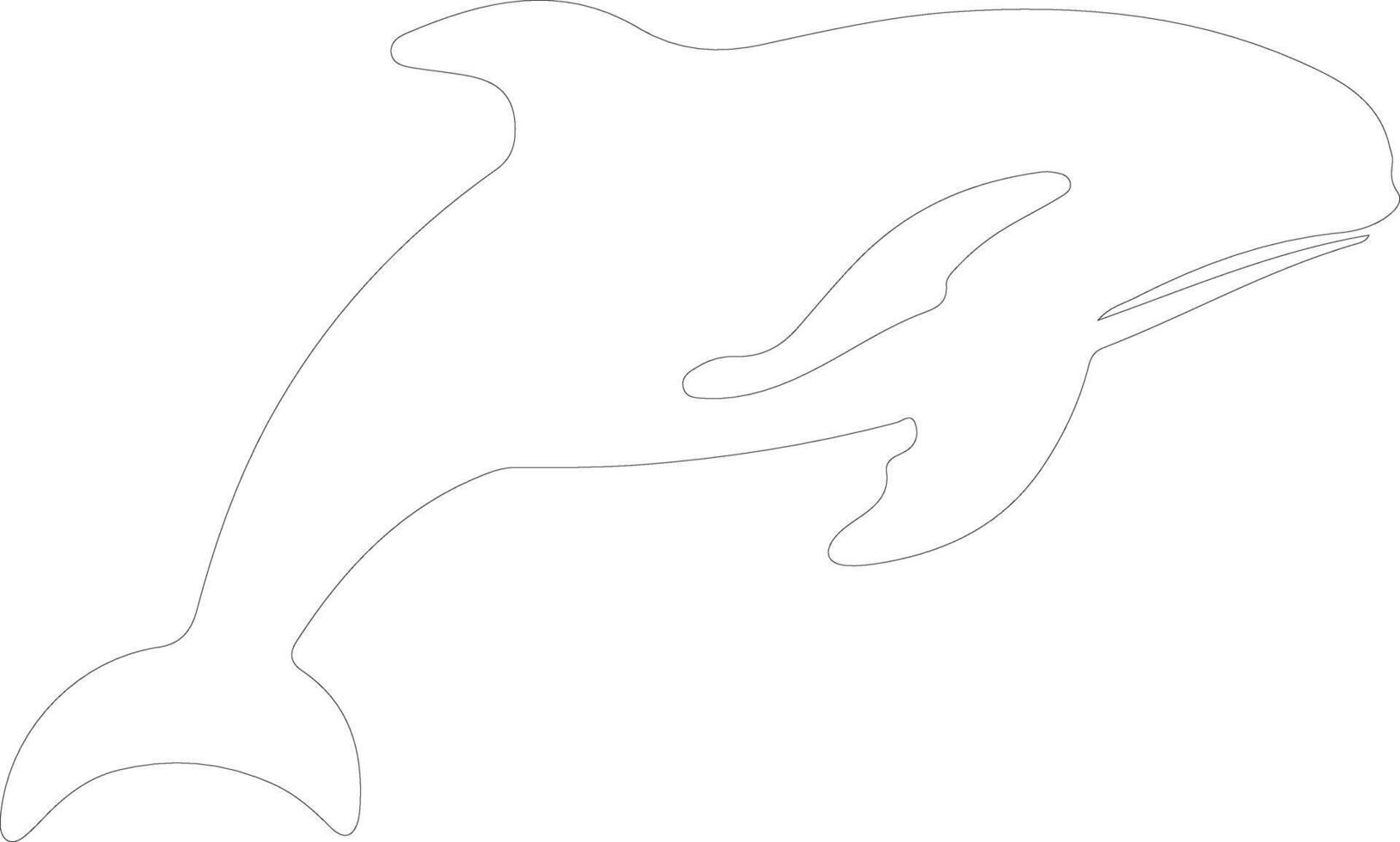 beluga whale outline silhouette 38485167 Vector Art at Vecteezy