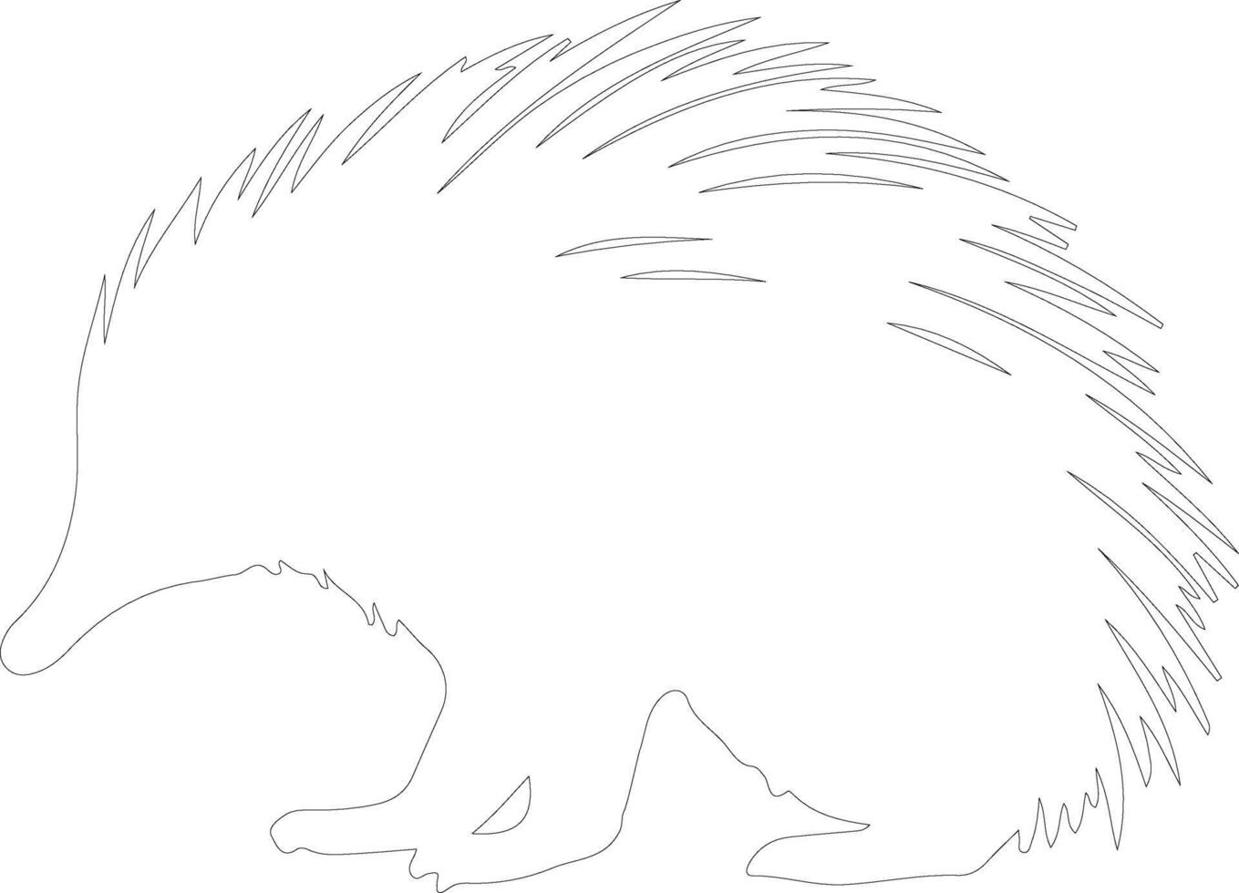 echidna   outline silhouette vector