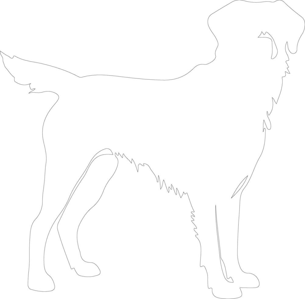 anatolian pastor perro contorno silueta vector