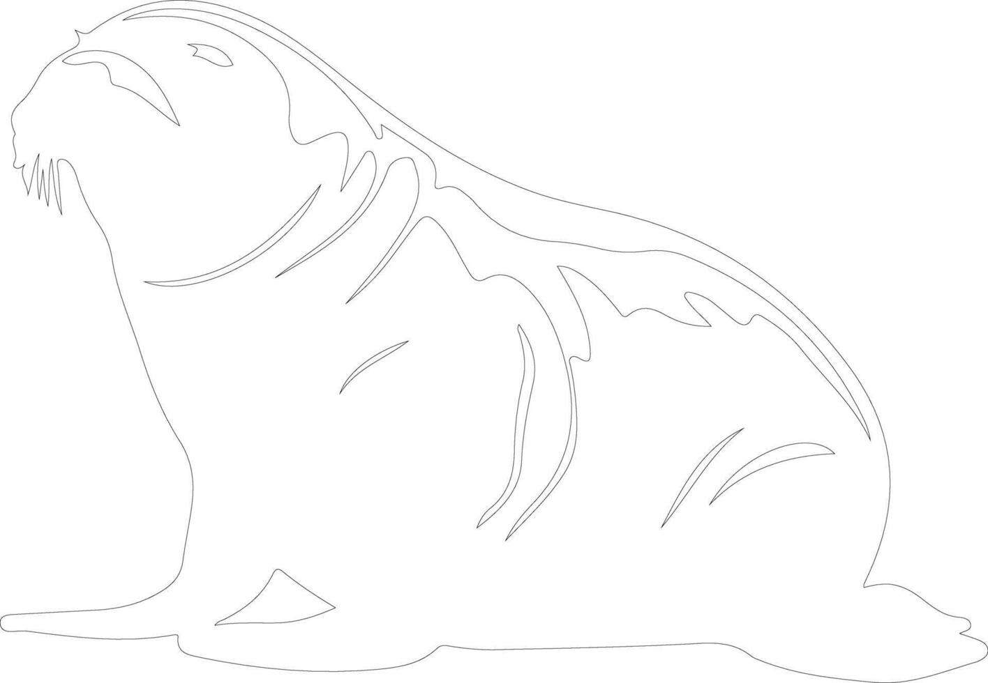 northern elephant seal  outline silhouette vector