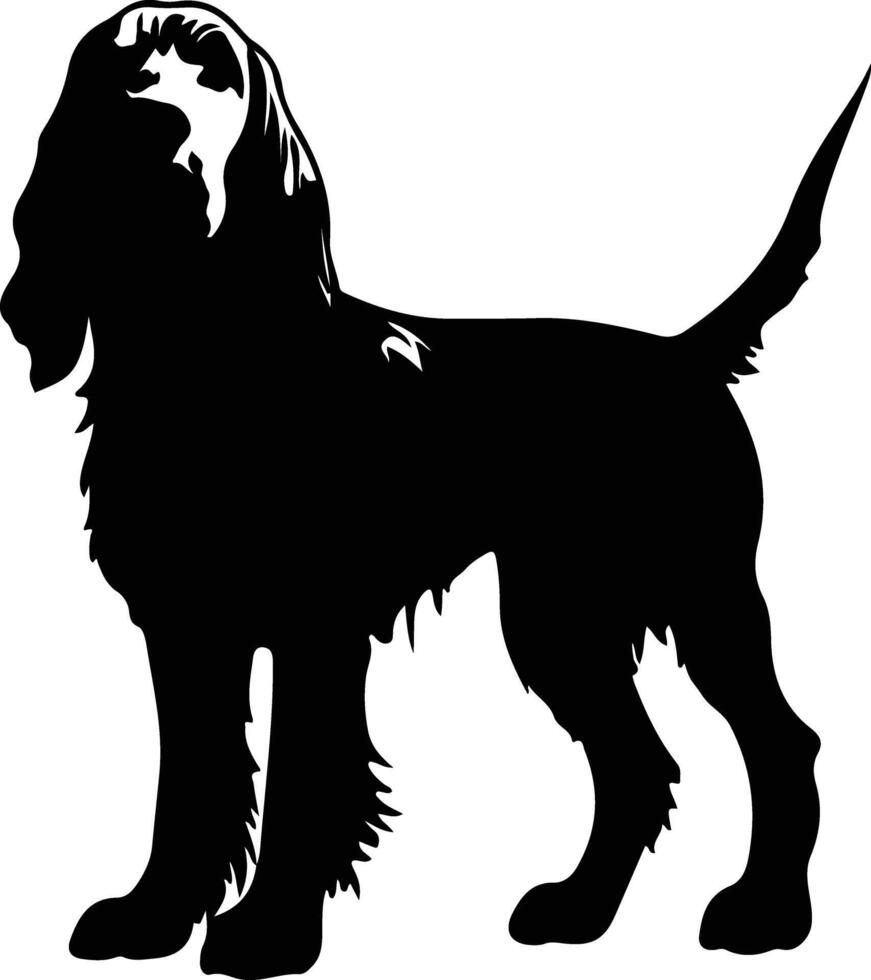 Spinone Italiano    black silhouette vector