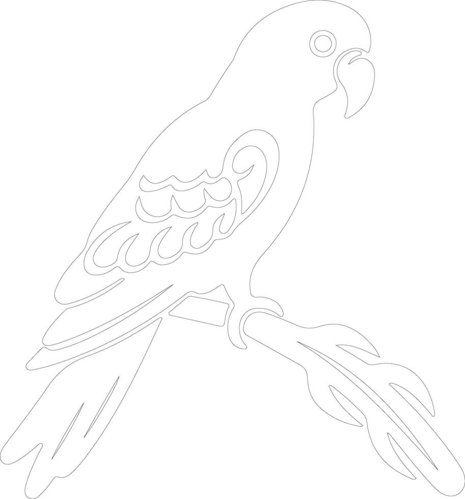 African gray parrot  outline silhouette vector