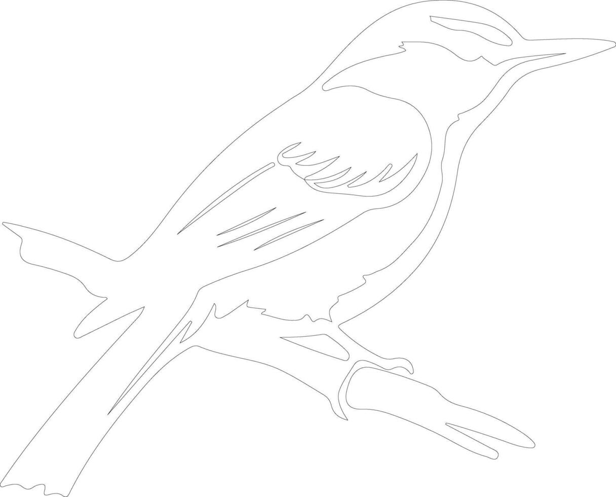 nuthatch  outline silhouette vector