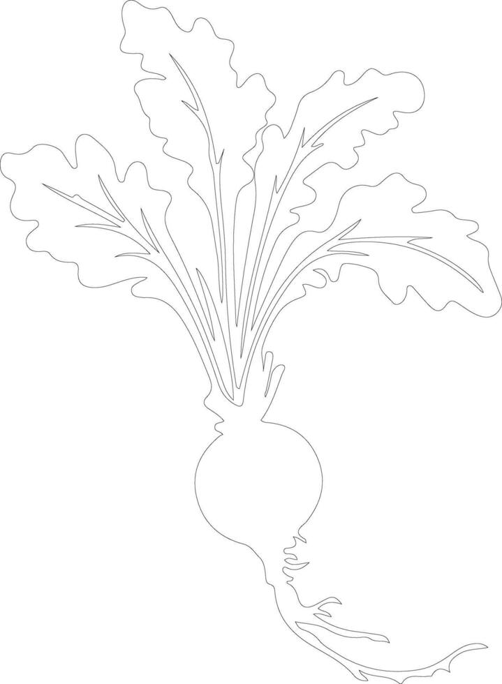 radish  outline silhouette vector