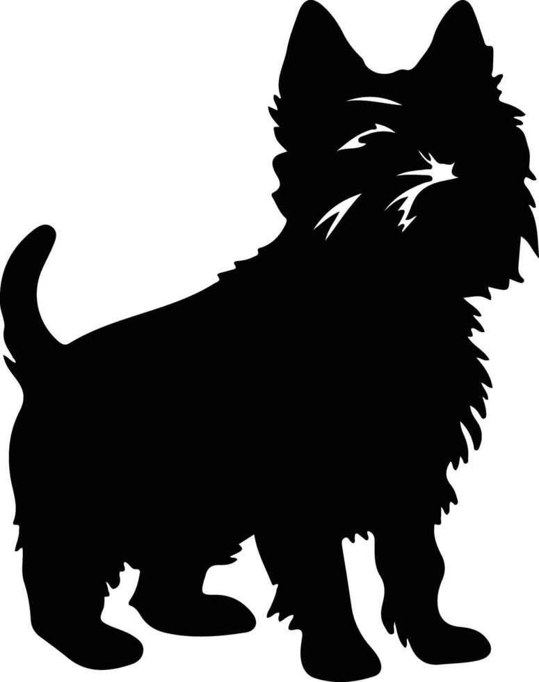 Norwich Terrier   black silhouette vector