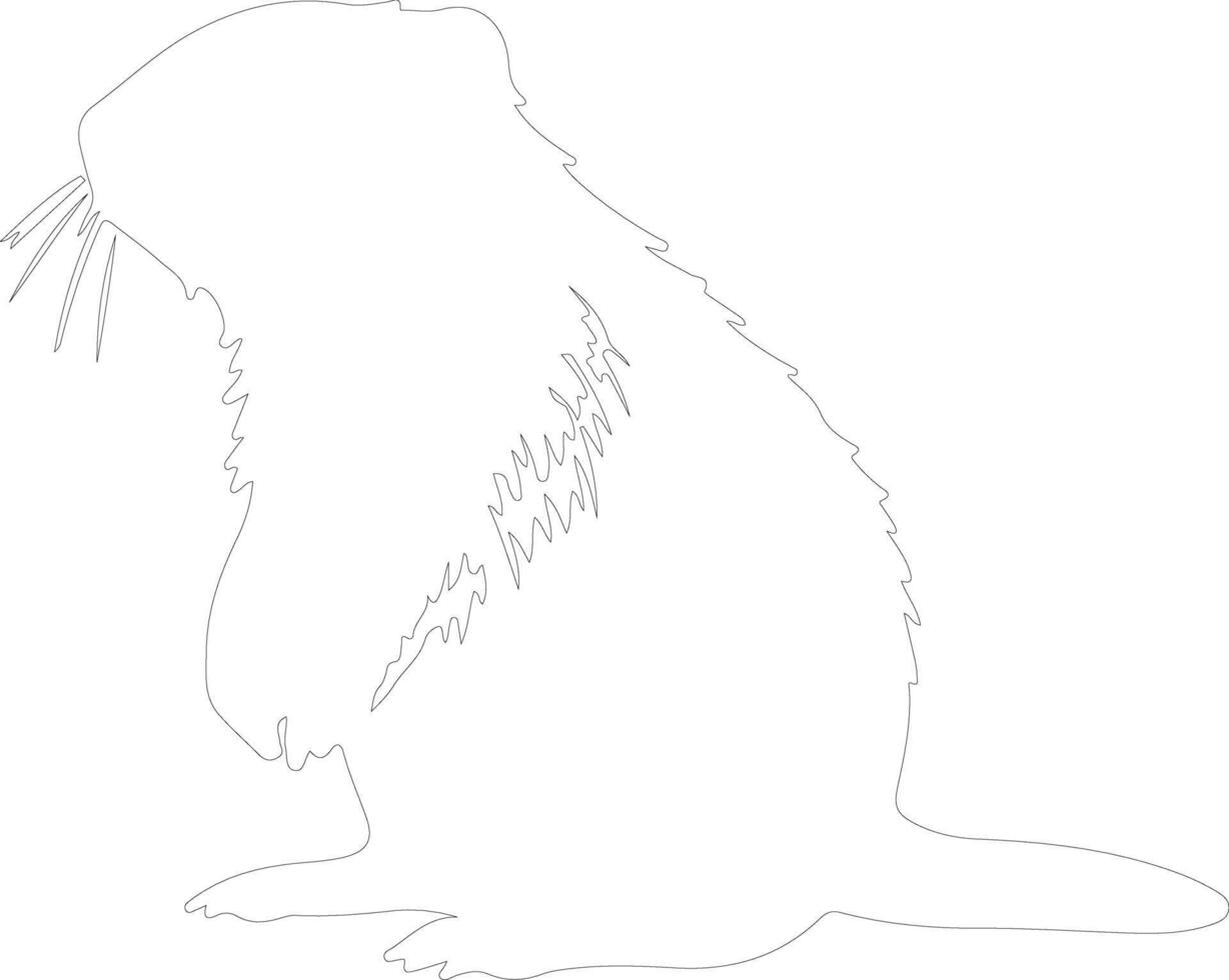 nutria contorno silueta vector