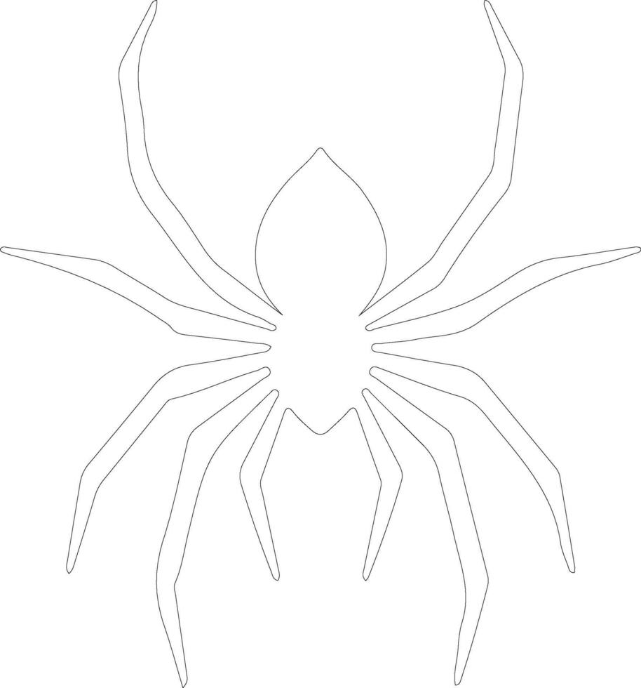 spider    outline silhouette vector