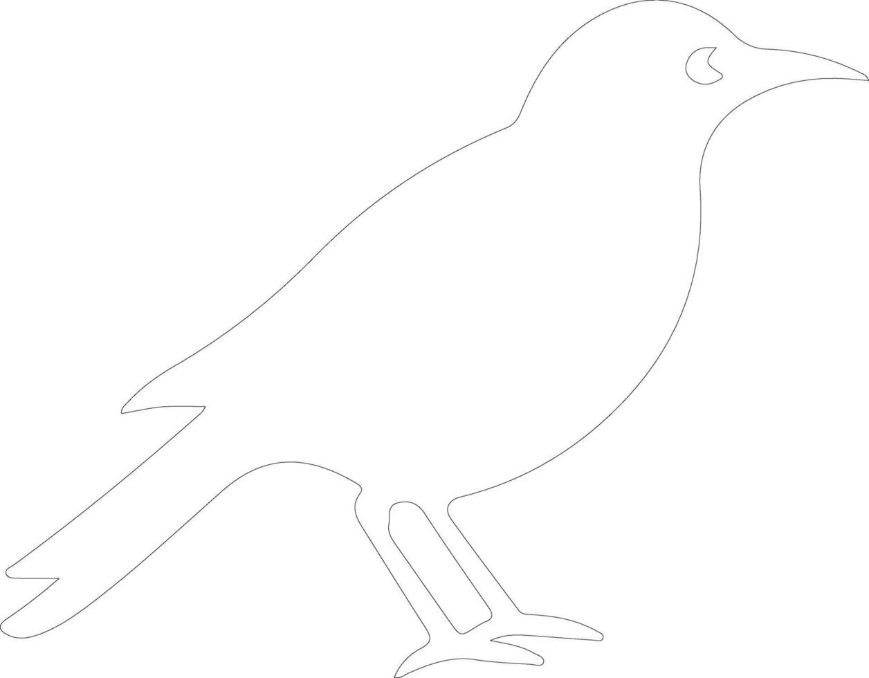 bird  outline silhouette vector