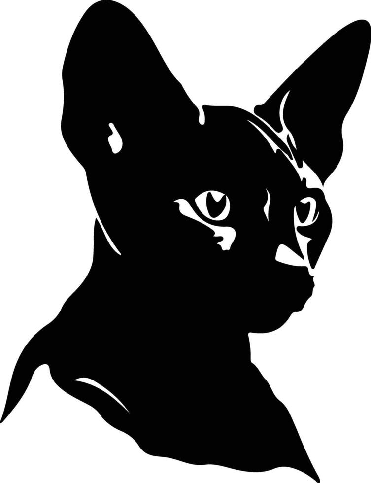 Devon Rex Cat  silhouette portrait vector