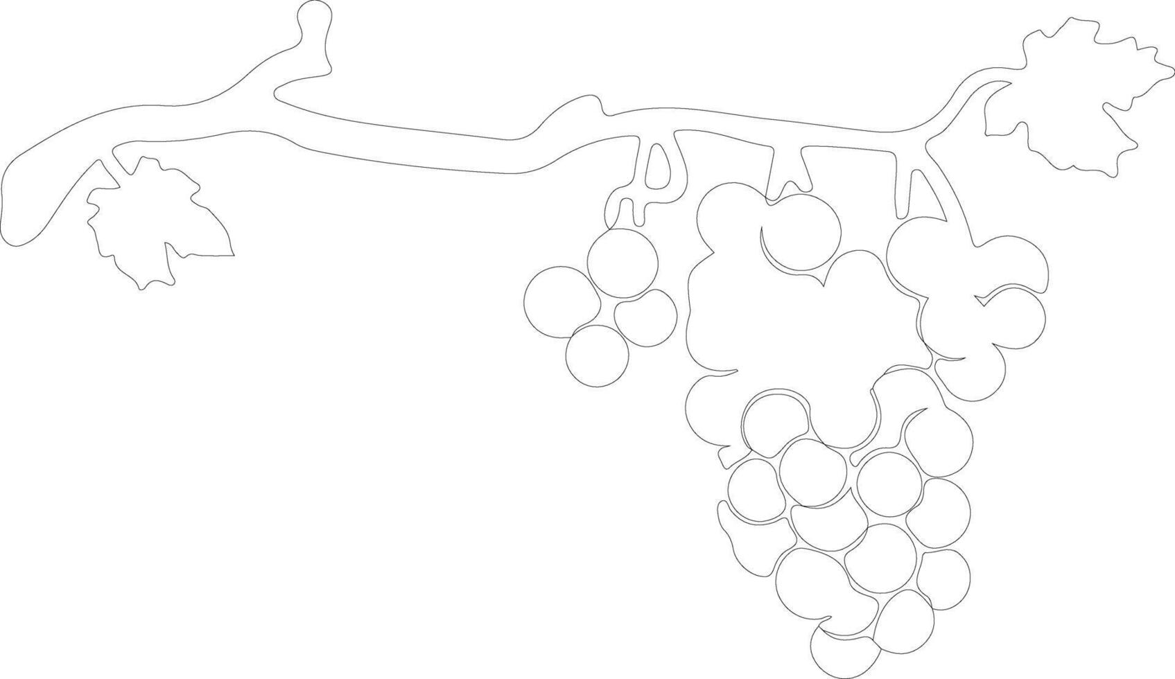 pasa contorno silueta vector