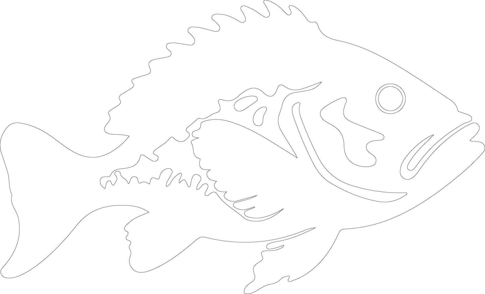 grouper  outline silhouette vector