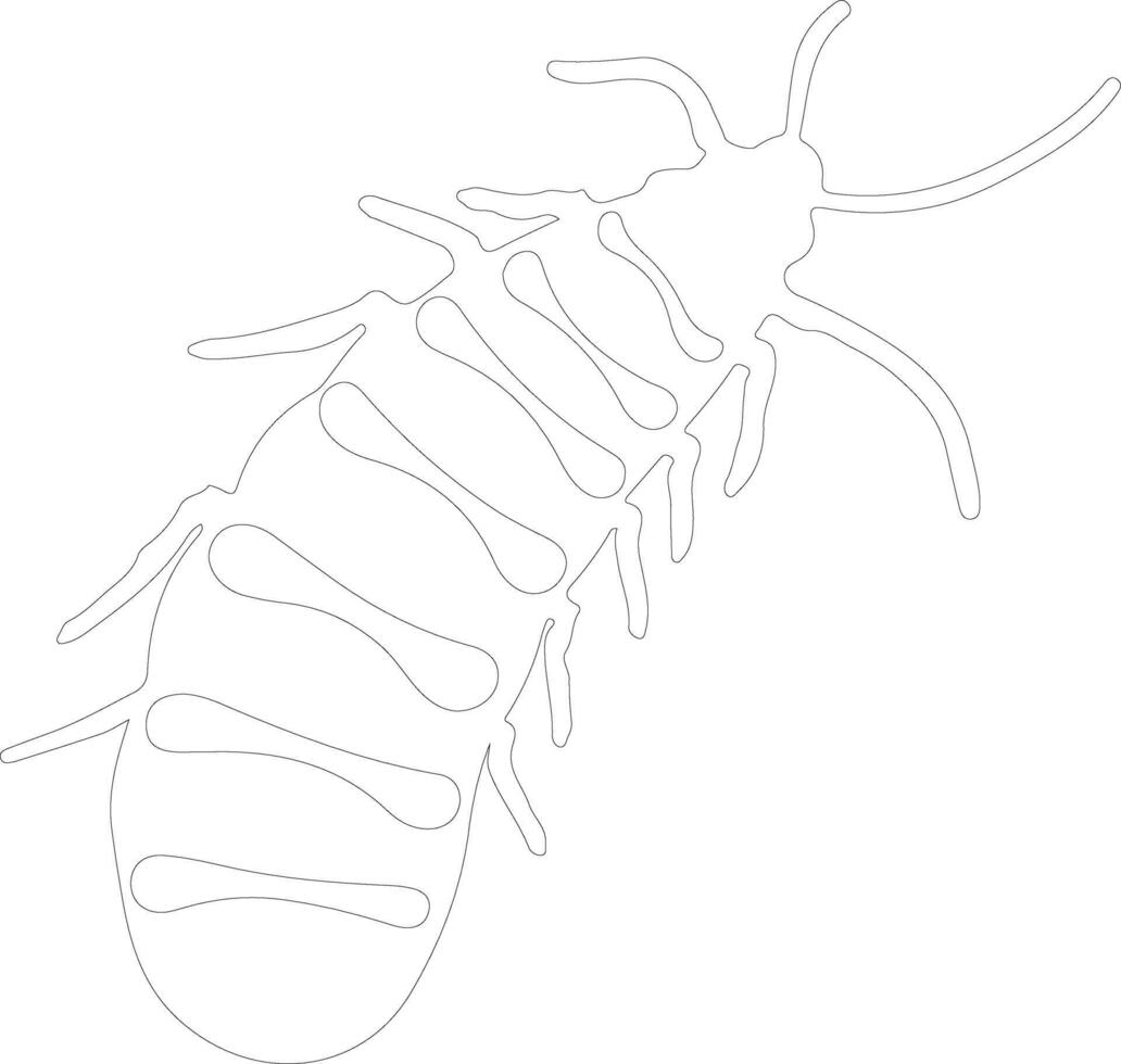 silkworm   outline silhouette vector