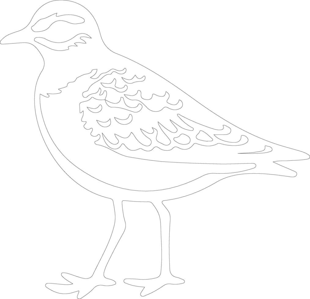 American golden plover  outline silhouette vector