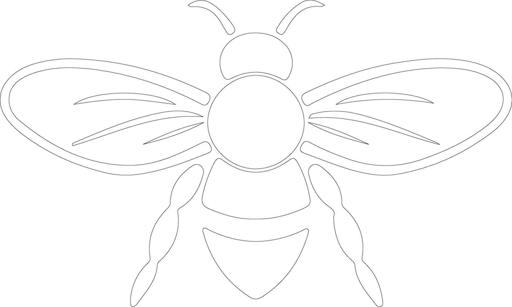 honey bee  outline silhouette vector