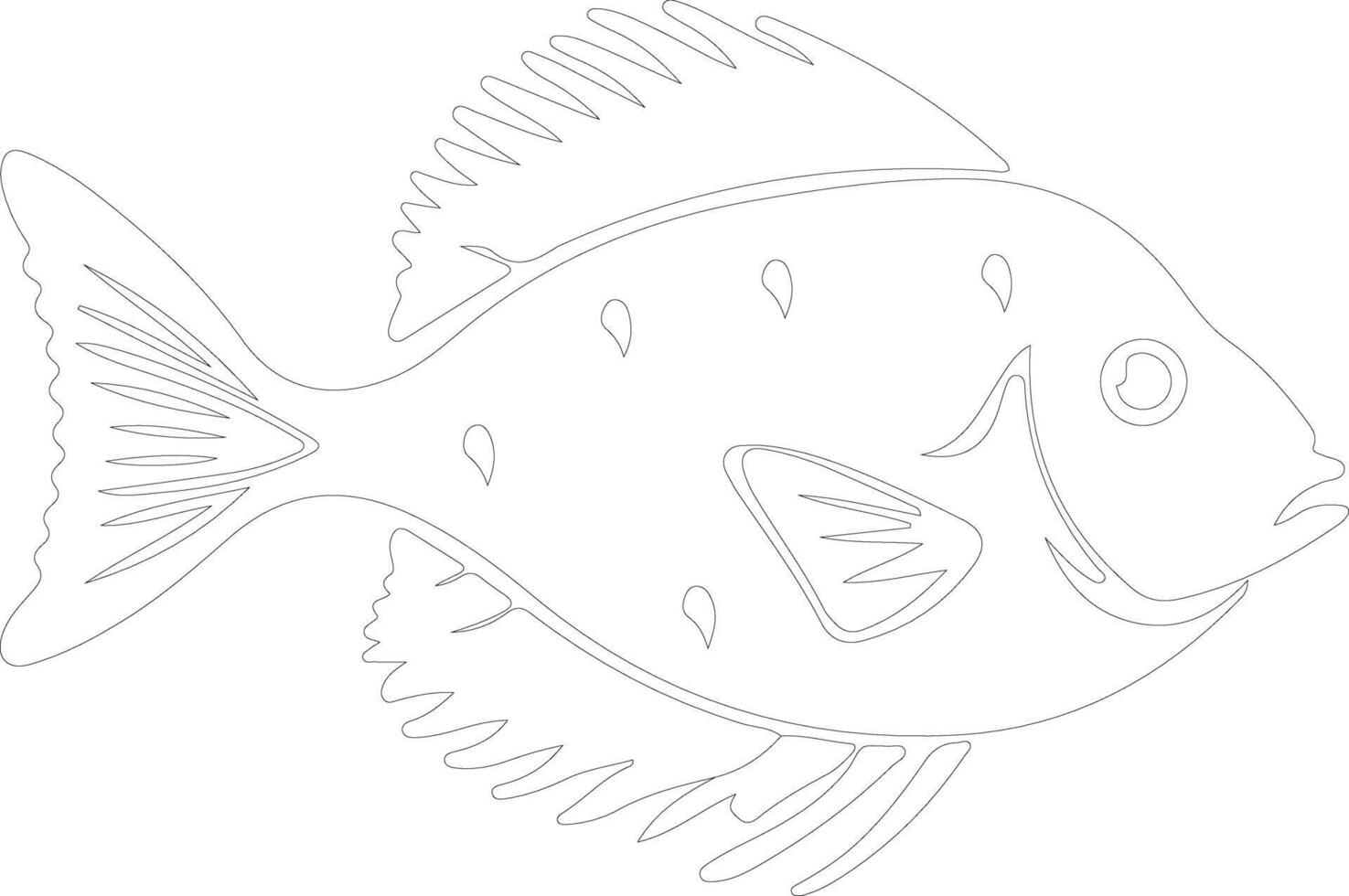 John Dory  outline silhouette vector
