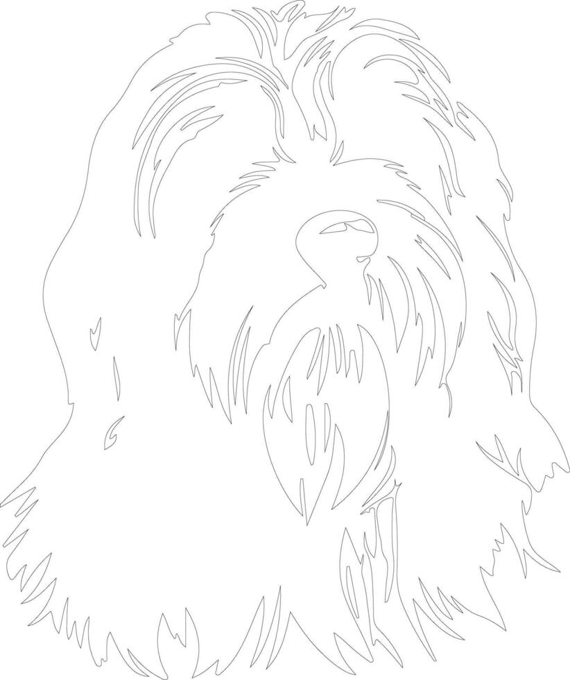 Bearded Collie  outline silhouette vector