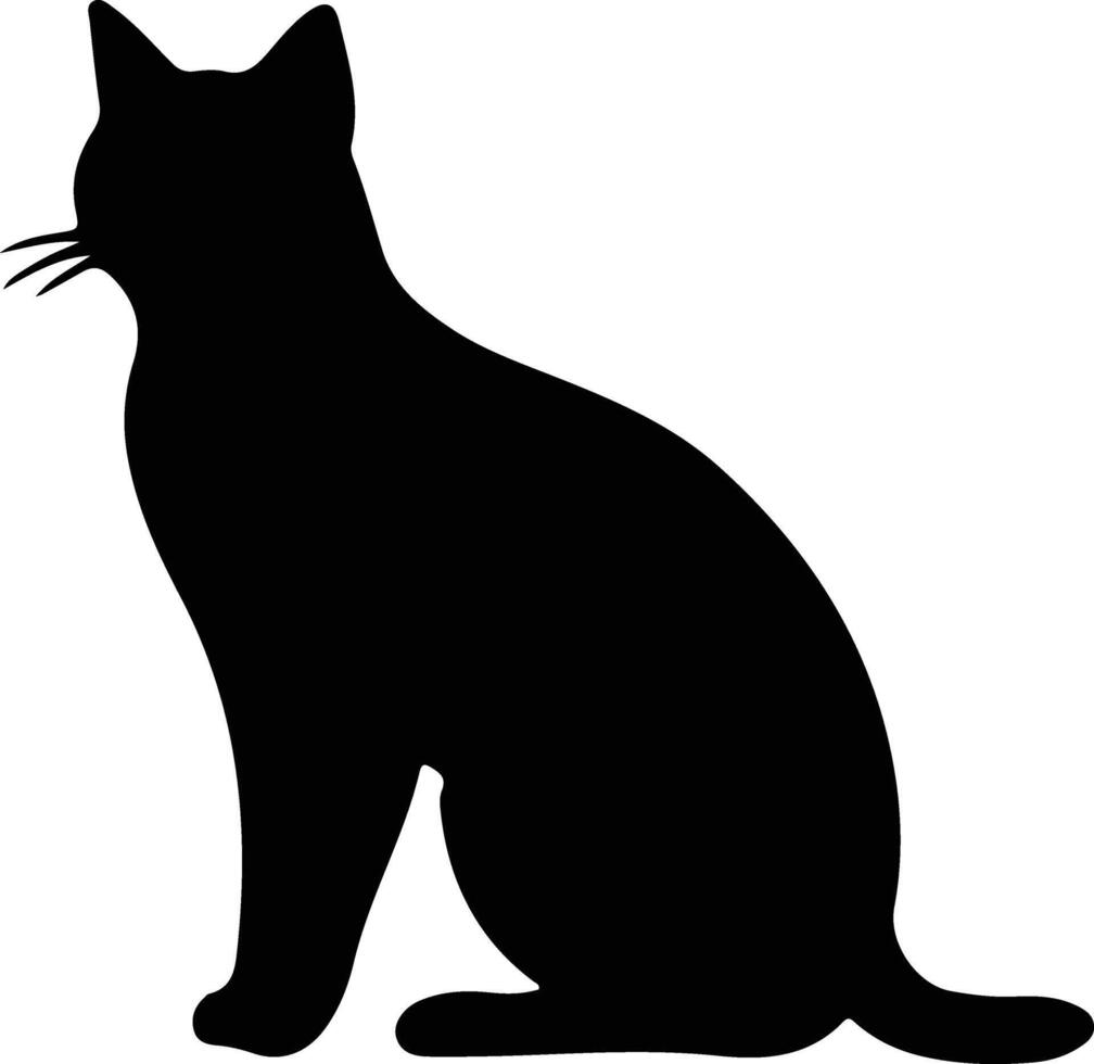 burmilla gato negro silueta vector