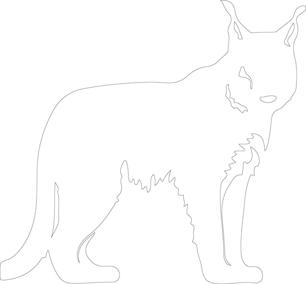 lynx  outline silhouette vector