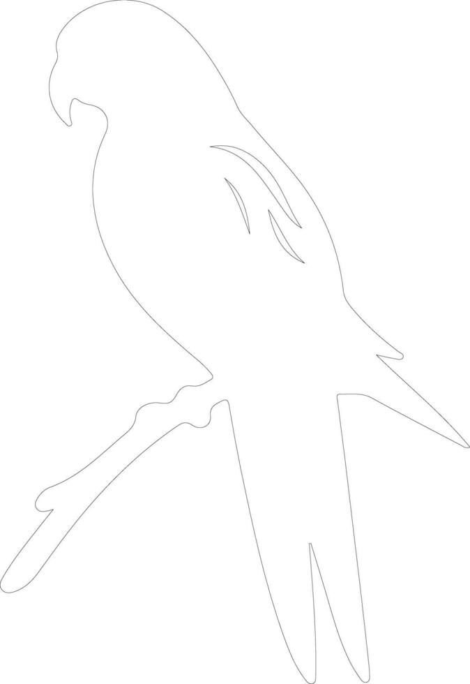 lorikeet  outline silhouette vector