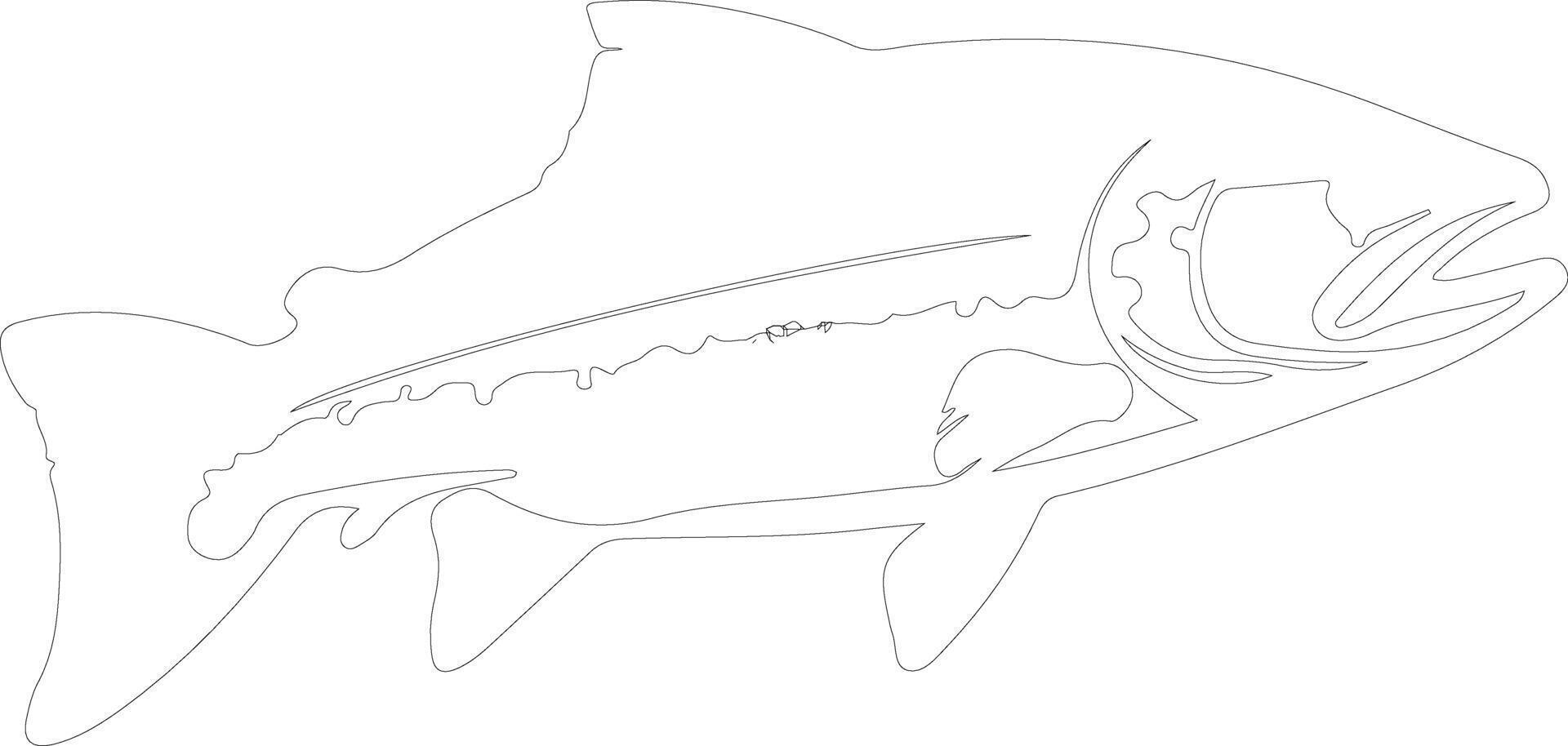 trout    outline silhouette vector