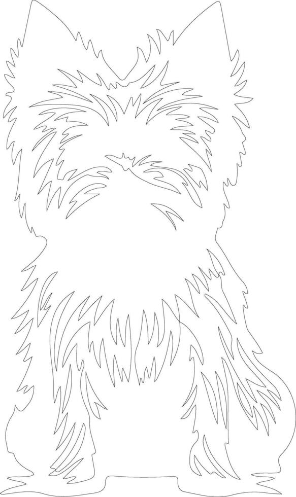 Norwich Terrier  outline silhouette vector