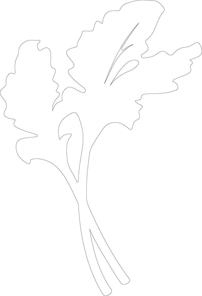 rhubarb  outline silhouette vector