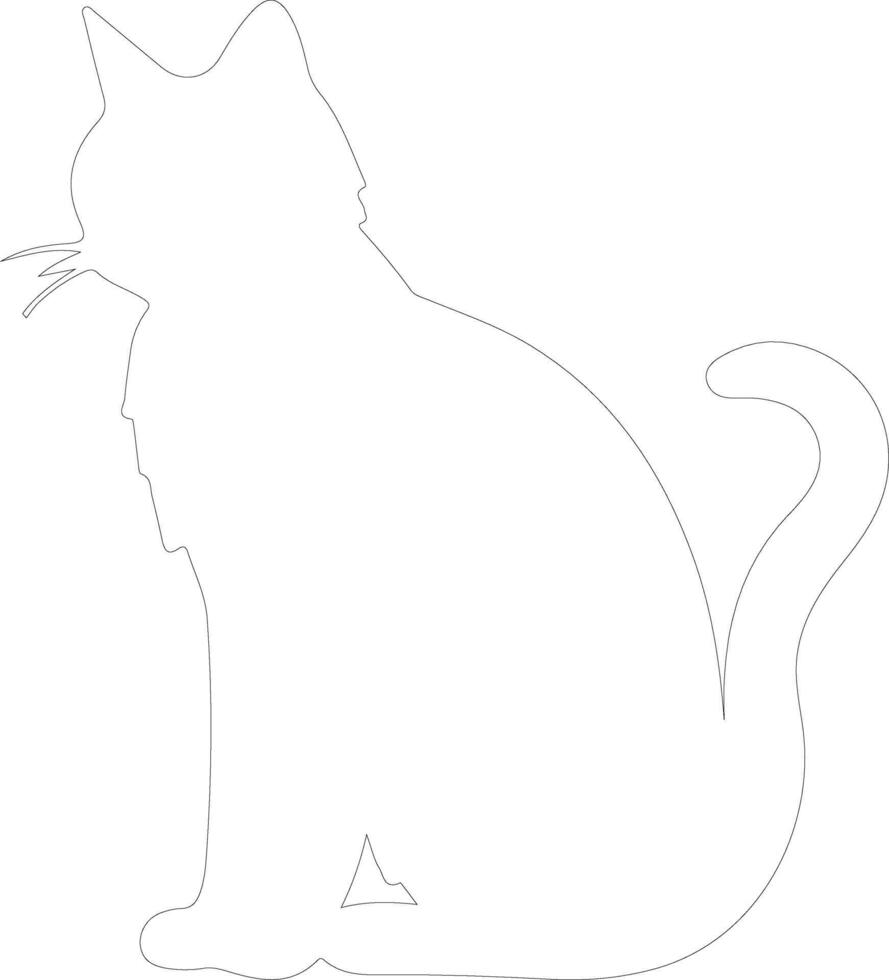 American Shorthair Cat outline silhouette vector