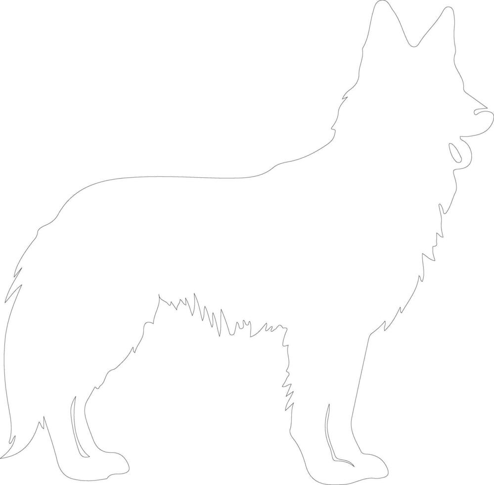 Belgian Tervuren  outline silhouette vector