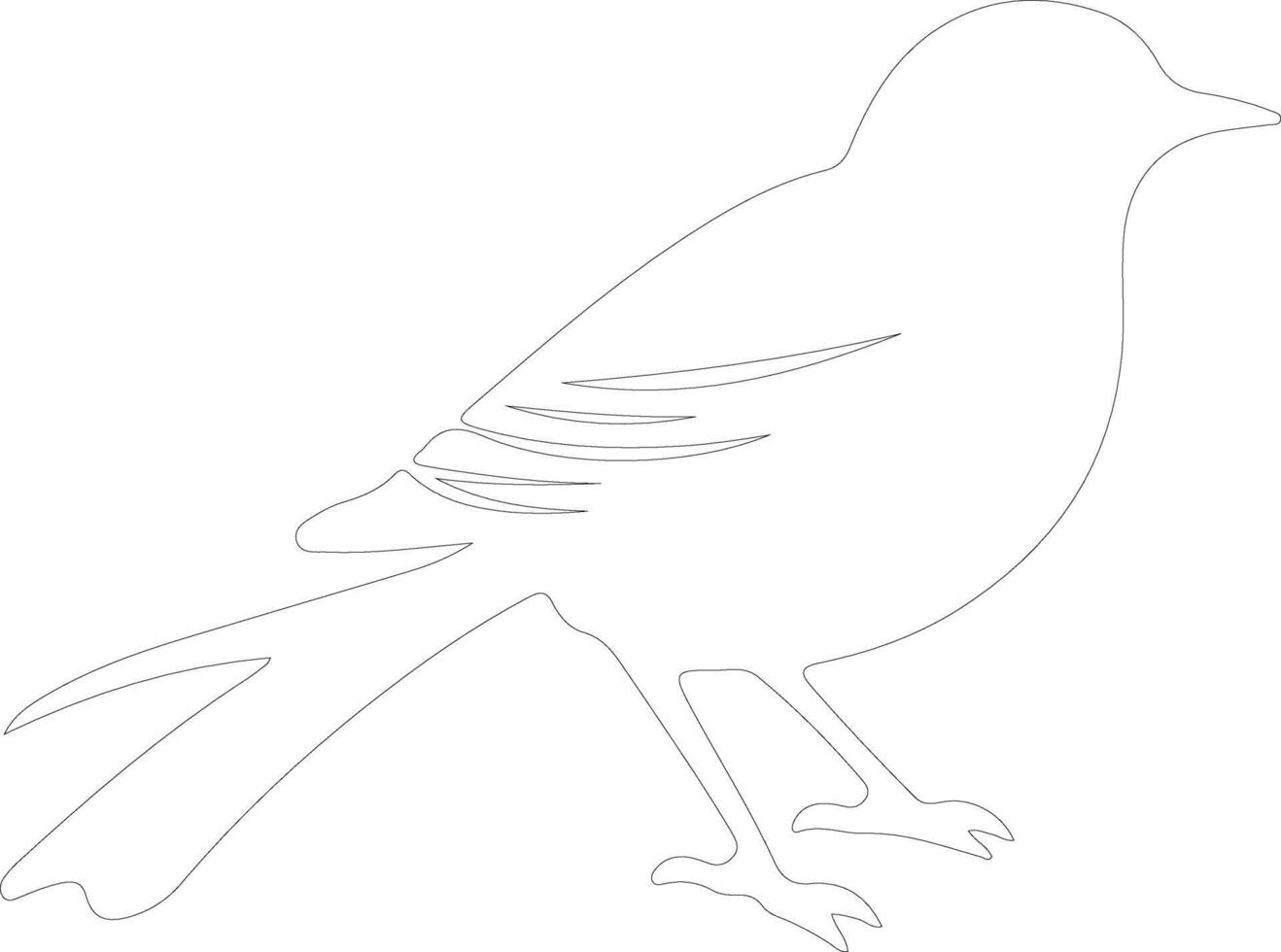 bird  outline silhouette vector