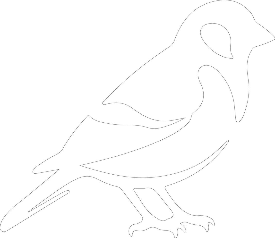 goldfinch  outline silhouette vector