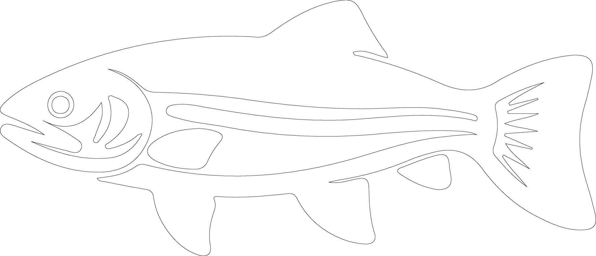 lake trout outline silhouette vector