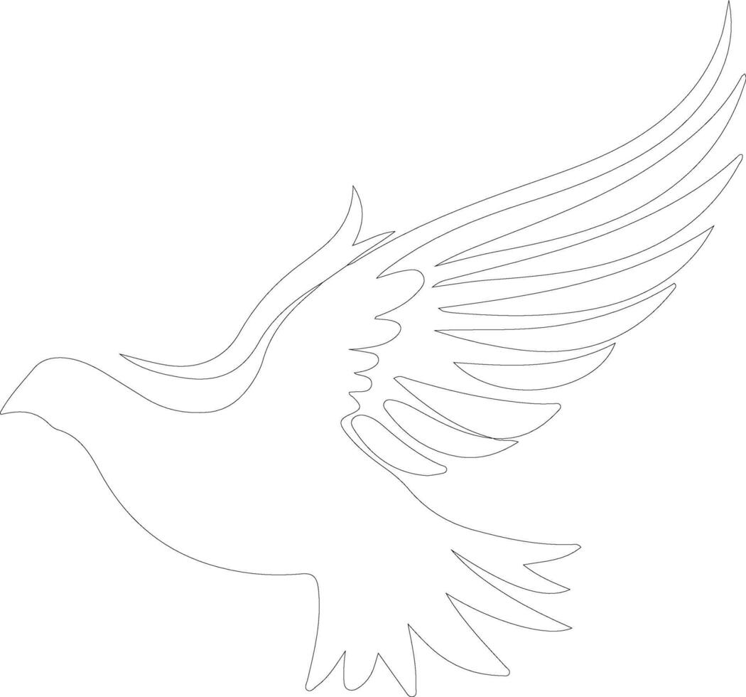 white dove  outline silhouette vector