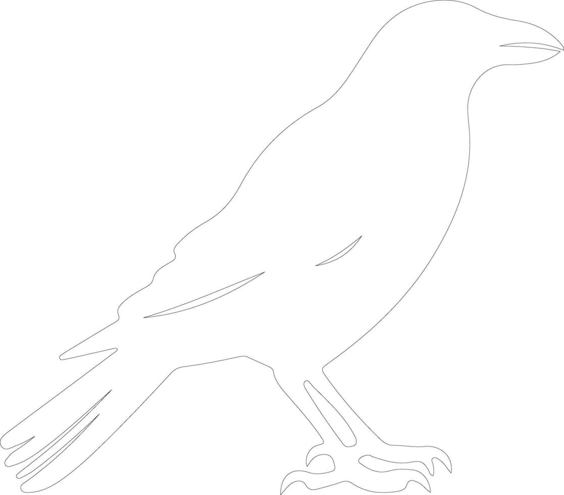 crow outline silhouette vector